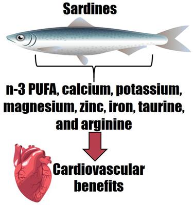 Eating more sardines instead of fish oil supplementation: Beyond omega-3 polyunsaturated fatty acids, a matrix of nutrients with cardiovascular benefits